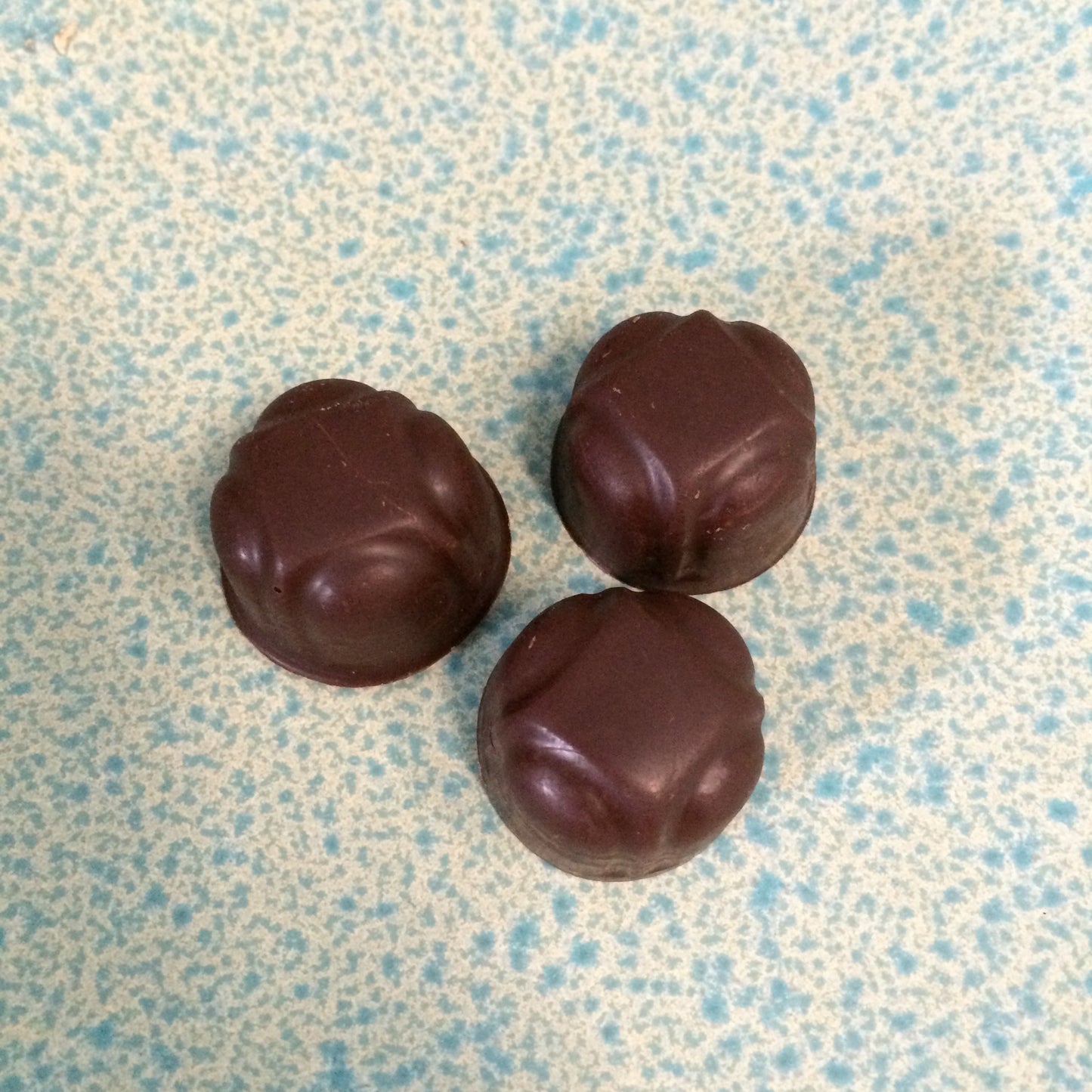 Chocolate Covered Macadamia Nuts